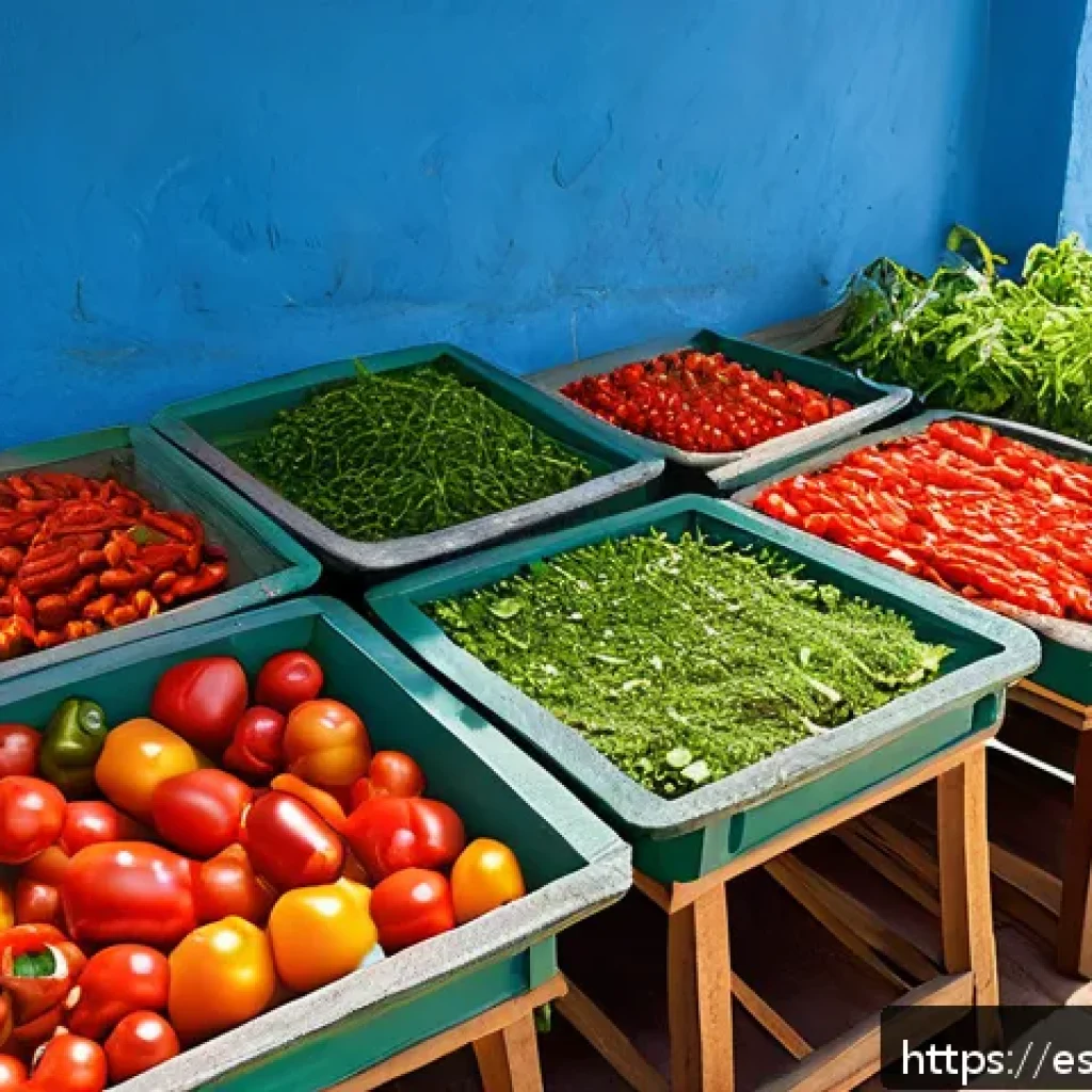 식품 보존을 위한 전통적인 방법 - A rustic outdoor scene showcasing traditional sun drying of sliced tomatoes, peppers, and herbs on w...