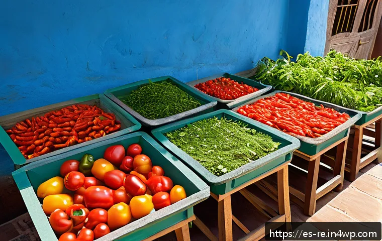 식품 보존을 위한 전통적인 방법 - A rustic outdoor scene showcasing traditional sun drying of sliced tomatoes, peppers, and herbs on w...